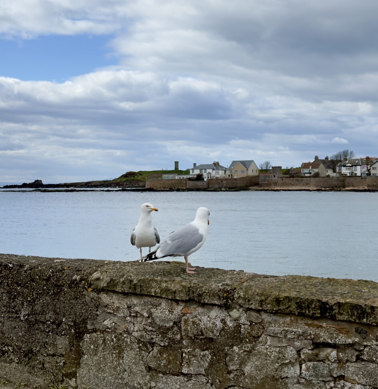 Scotland – St. Andrews, Fife and Falklands – Funky Adventurer